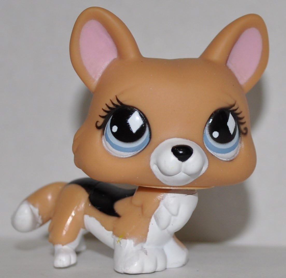 littlest pet shop corgi