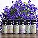 Aromatherapy Essential Oils Gift Set - Pure Natural Essential Oil for Diffusers Humidifiers & Carrier Oils Tea Tree Orange Eucalyptus Lavender Peppermint & Lemongrass 10 ml each Therapeutic Grade