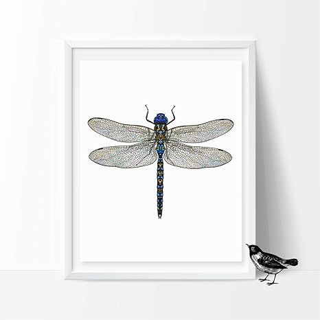 Amazon Co Jp 壁アート写真かわいい昆虫トンボ美しいアートトンボプリントポスターキャンバス絵画現代家の壁の装飾 60x80cm フレームレス ホーム キッチン