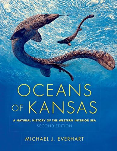 Amazon.com: An Ocean Between Us: Roman: 9783426526149: Bilinszki