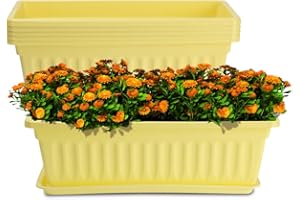 HOXHA 6 Pack Window Box Planter, 17 inches Plastic Vegetable Flower Planter Boxes with Tray, Rectangular Indoor and Outdoor Flower Pots for Windowsill, Patio, Porch, Garden Balcony