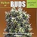 Big Book of Buds Greatest Hits: Marijuana Varieties from the World's Best Breeders (Big Book of Buds, 5)