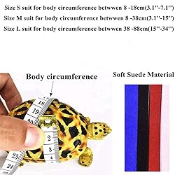 Turtle Harness and Leash with Wings Tortoise Leash
