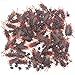 MICHLEY 72pcs Plastic Ants + 72pcs Cockroach + 72pcs Flies for Party Favorite Toys