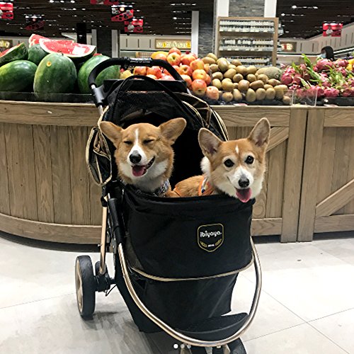corgi stroller