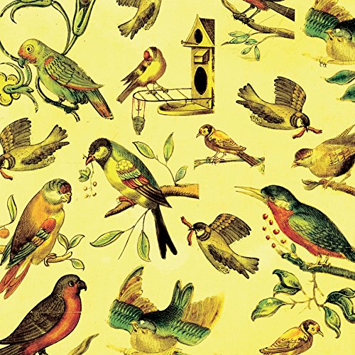 Origami Paper 100 sheets Bird Patterns 6" (15 cm): Tuttle Origami Paper: High-Quality Origami Sheets Printed with 8 Different Designs: Instructions for 8 Projects Included