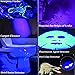 Black Light UV Flashlight , Ultraviolet Lights 1# Best 100 LED Pet Urine Detector 30FT Flood Effect Scorpion Flashlights (AA Batteries Included)