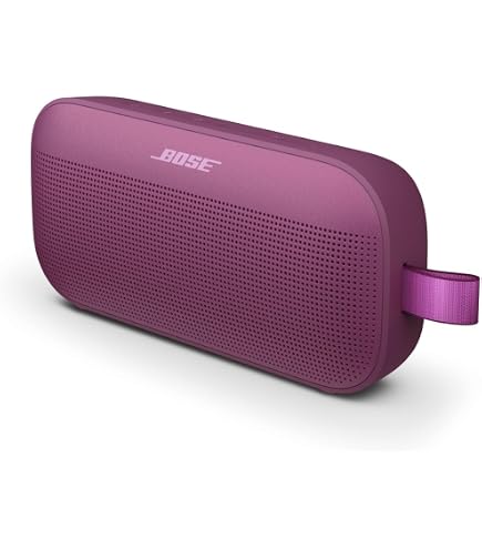 Amazon.com: Bose SoundLink Max Bluetooth Speaker - Portable