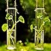 Mkono 3 Pack Hanging Plant Terrarium Tube Glass Vase