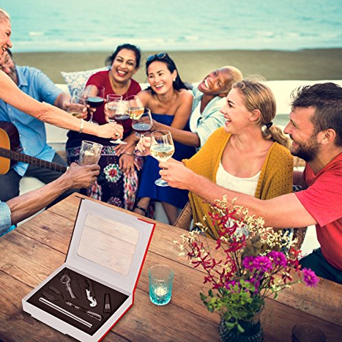image for Vinetto Wine Lover’s Set: Premium Set Of Wine Aerator, Wine Chiller,