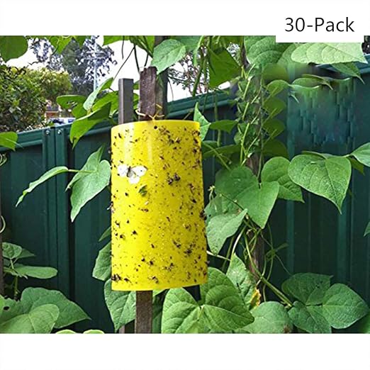 ZZM Amarillo pizarras trampas de Insectos pegajosas Amarillas de ...