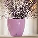 Santino, Self Watering Planter Deco 8.8 Inch, Jade, Indoor Decorative Flower Pot with Drainage Cartridge and Water Level Indicator