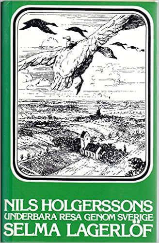 Nils Holgerssons Underbara Resa Genom Sverige Amazon De Selma Lagerlof Bucher
