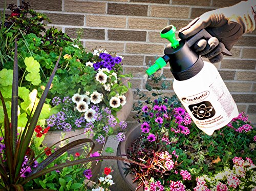 Root Lowell Flo-Master Pressurized Pump Sprayer, 40-Ounce