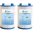 Tier1 Pool & Spa Filter Cartridge 2-pk | Replacement for Dimension One 1561-00, Pleatco PDO75-2000, FC-3059, C-7367, Aladdin 17541 and More | 75 sq ft Pleated Fabric Filter Media