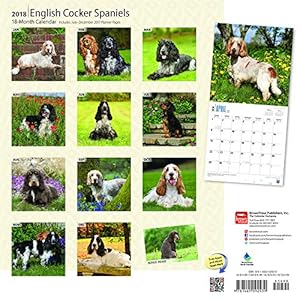 English Cocker Spaniels 2018 12 x 12 Inch Monthly Square Wall Calendar, Animals Dog Breeds (Multilingual Edition)