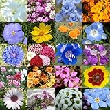 Package-of-3000-Seeds-Low-Growing-Wildflower-Mixture-100-Pure-Live-Seed-NonGMO-Seeds-by-Seed-Needs
