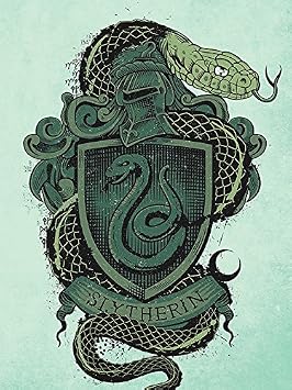 Pyramid International Slytherin Harry Potter Canvas Print Multi
