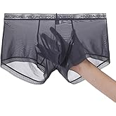 JINSHI Ice Silk Mens Sexy Underwear For Straight Men See Through Boxers Ultra Thin Sheer Trunk Bulge Pouch Boxer Briefs
