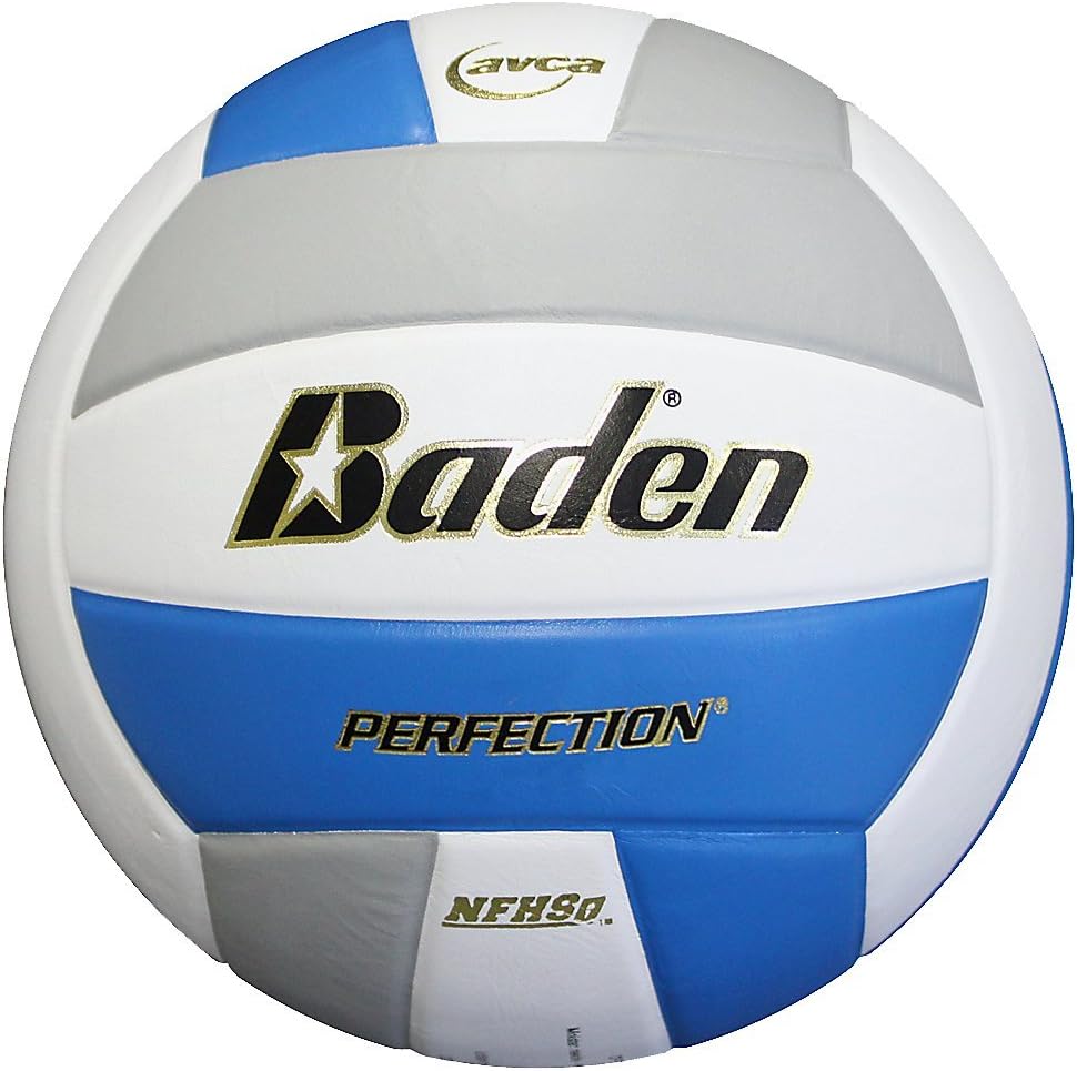 Baden Perfection Leather Volleyball