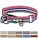 Blueberry Pet Safety Dog Collar with Dual D-Rings | 3M Reflective Multi-Colored Adjustable Collar in Pink, Emerald and Orchid | Soft Nylon Dog Collar for Active Large Dogs