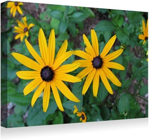 Amazon Co Jp 40x50cm アートパネル ポスター 湿気を防ぐ キャンバスアート インテリア 絵画 ルドベキア花花壇緑クローズアップ アートフレーム 取り付けやすい 装飾軽くて取り付けやすい 壁掛け アート 装飾 壁絵 Generic