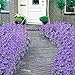 HOGADO Artificial Orchid Flowers, 4pcs Fake Dancing Lady Plastic Plants Greenery Shrubs DIY Wedding Bouquet Indoor Outside Garden Patio Wall Planter Purple