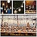 KINGSO Vintage Edison Bulb 60W Incandescent Antique Dimmable Light Bulb Dimmable for Home Light Fixtures Squirrel Cage Filament E27 Base G80 110V (2 Pack)