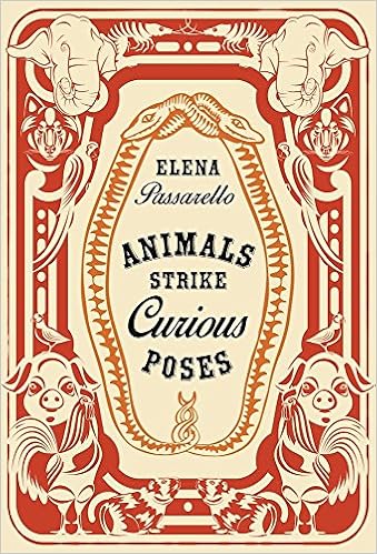 Animals Strike Curious Poses