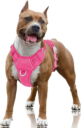 front clipping dog harness