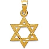 JewelryWeb 14k Yellow Gold Solid Satin Religious Judaica Star of David Charm 14x13mm Pendant Necklace for Women