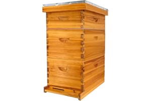Honey Lake 8 Frame Bee Hive Kit, Langstroth Bee Hives Boxes Starter Kit for Beekeepers Dipped in Beeswax Includes 2 Deep Brood Box & 1 Medium Super Bee Box with Beehive Frames and Waxed Foundations