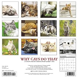 Why Cats Do That 2018 Calendar