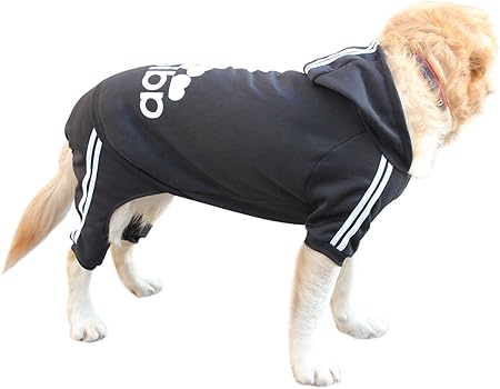 amazon dog coats with legs
