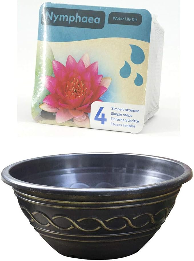 Water Lily Pond Basket Kit with Black & Gold Patio Pond Pot Red Water Lily Nymphaea Attraction Water Lily Pond Basket Kit with Black & Gold Patio Pond Pot Red Water Lily Nymphaea Attraction