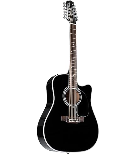 TAKAMINE、アコースティック！ビンテージ… TAKAMINE、アコースティック！ビンテージ…