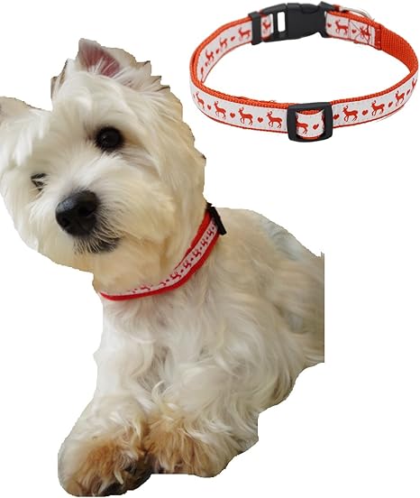 christmas dog collars amazon