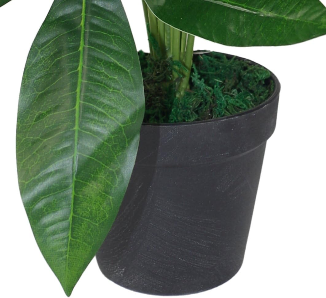Leaf Design UK Realistic Artificial Foliage Plant with Pot, Green, 50cm - Image 3