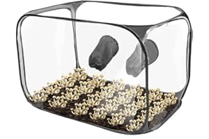 Still Air Box for Mushroom Cultivation – Portable Fruiting Chamber with Zippered Access, Clear PVC Construction, Foldable Des