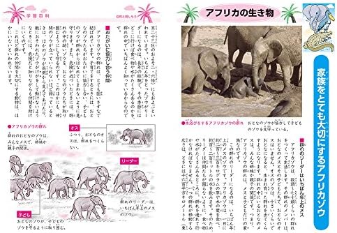 Mua ショウワノート ジャポニカ学習帳 漢字練習帳 150字 Jl 51 Tren Mua ショウワノート ジャポニカ学習帳 漢字練習帳 150字 Jl 51 Tren