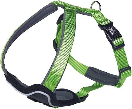 perfect fit harness amazon