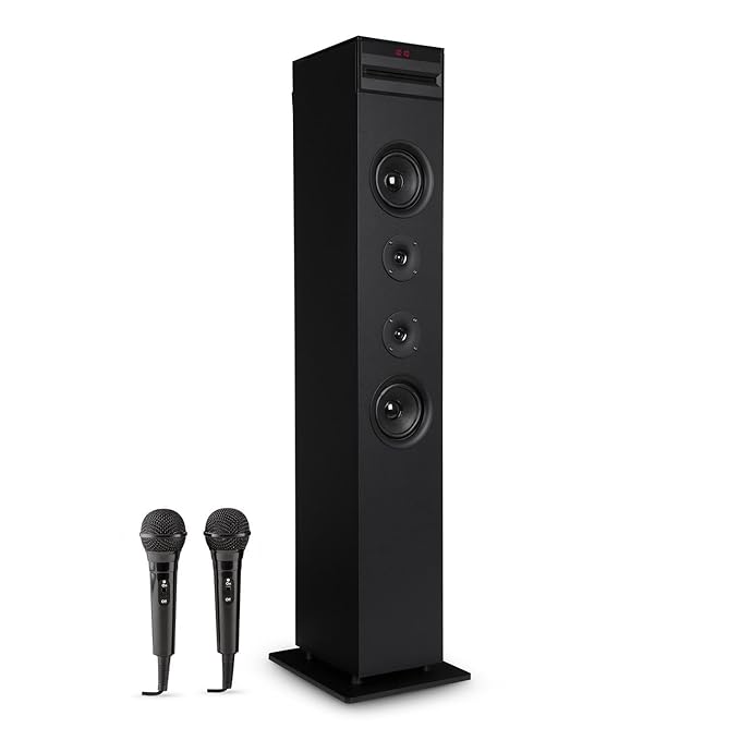 title=auna Karaboom • karaoke per bambini • kit karaoke • altoparlante a torre •