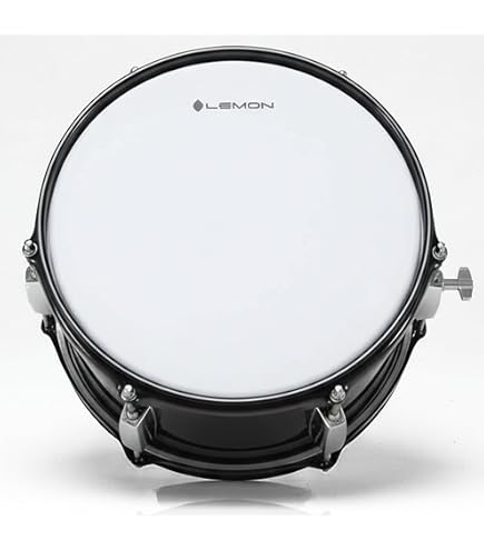 Amazon.com: Roland Electronic Drum Pad (PDX-12) : Musical Instruments