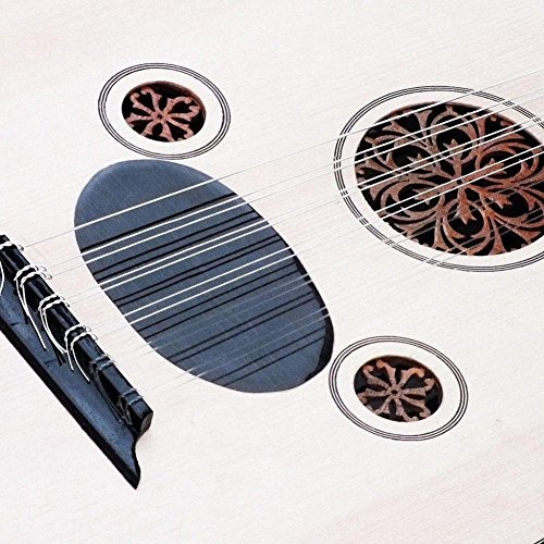 Oud Strings, Nylon Silver Plated Copper Alloy Clear Normal Tension Oud Strings Set Replacement Accessory (10 strings)