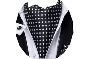 Dubulle Paisley Floral Ascot Tie for Men Self Tie Mens Cravat Tie and Pocket Square Cufflinks Wedding