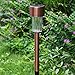 SUNWIND 12-Pack Solar-Powered Stainless Steel Led Pathway Garden Lights for Outdoor Décor Lawn,Patio,Yard,Walkway,Driveway (Copper)