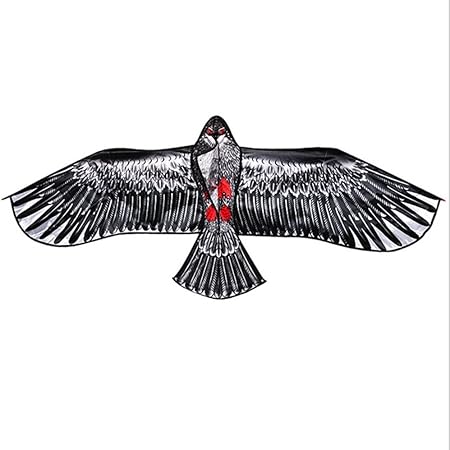 Amazon Ahcco 凧キット 凧 イーグルカイト 超大型150cm鳥凧 凧揚げ カイト 子供 おもちゃ 凧 カイト おもちゃ