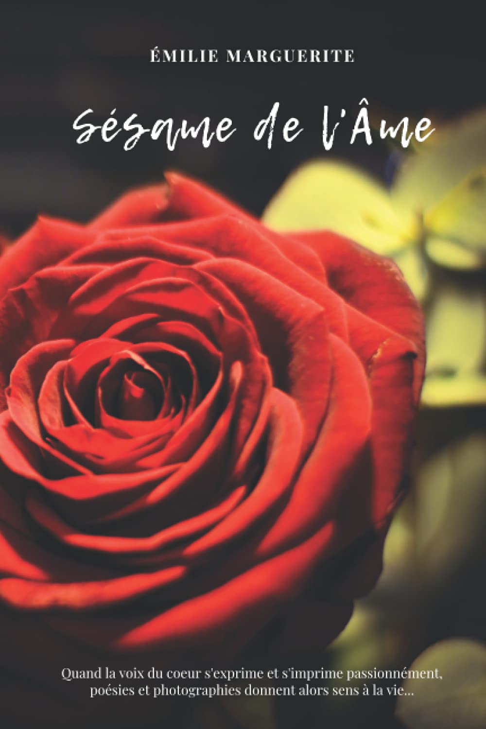 Sesame De L Ame French Edition Marguerite Emilie Books Amazon Sesame De L Ame French Edition Marguerite Emilie Books Amazon