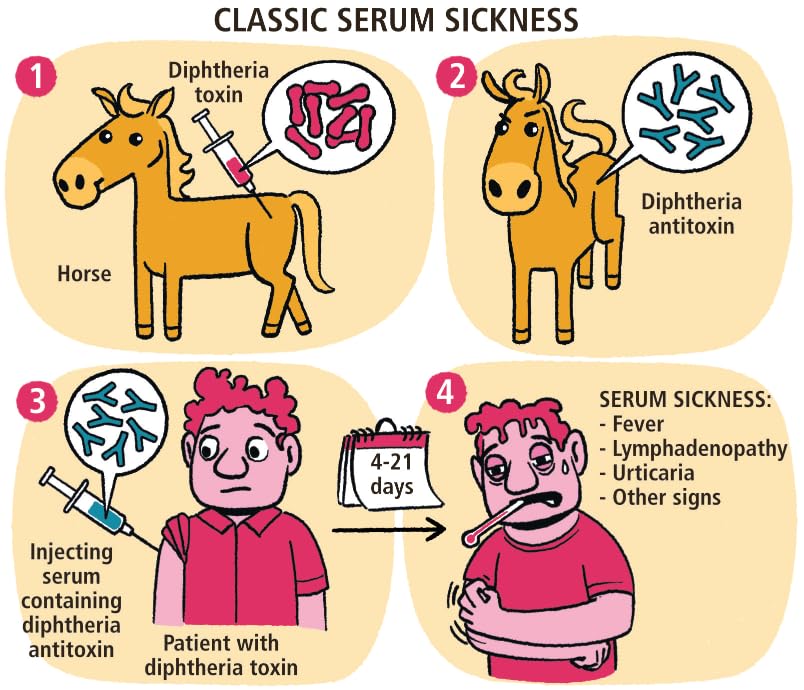 Immunology Made Ridiculously Simple: Color Edition