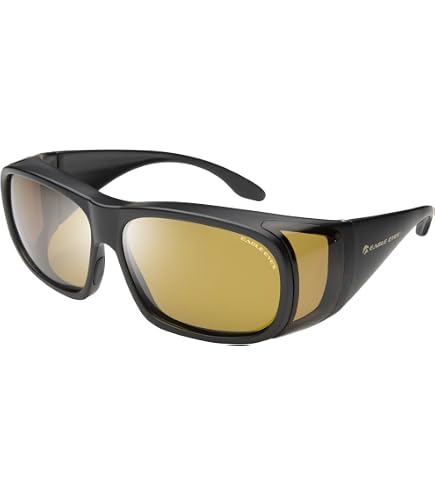 Amazon.com: Eagle Eyes Classic Aviator Sunglasses -Silver